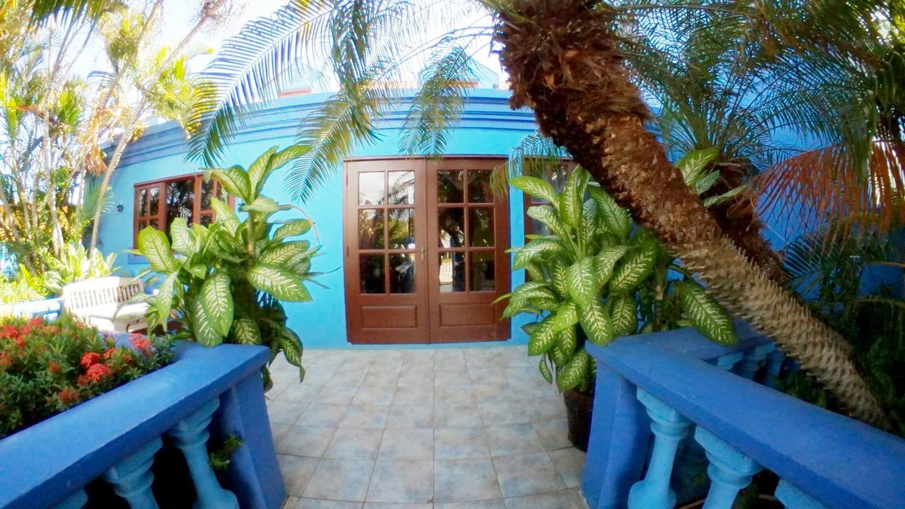 De Cuba Bed & Breakfast Noord Extérieur photo