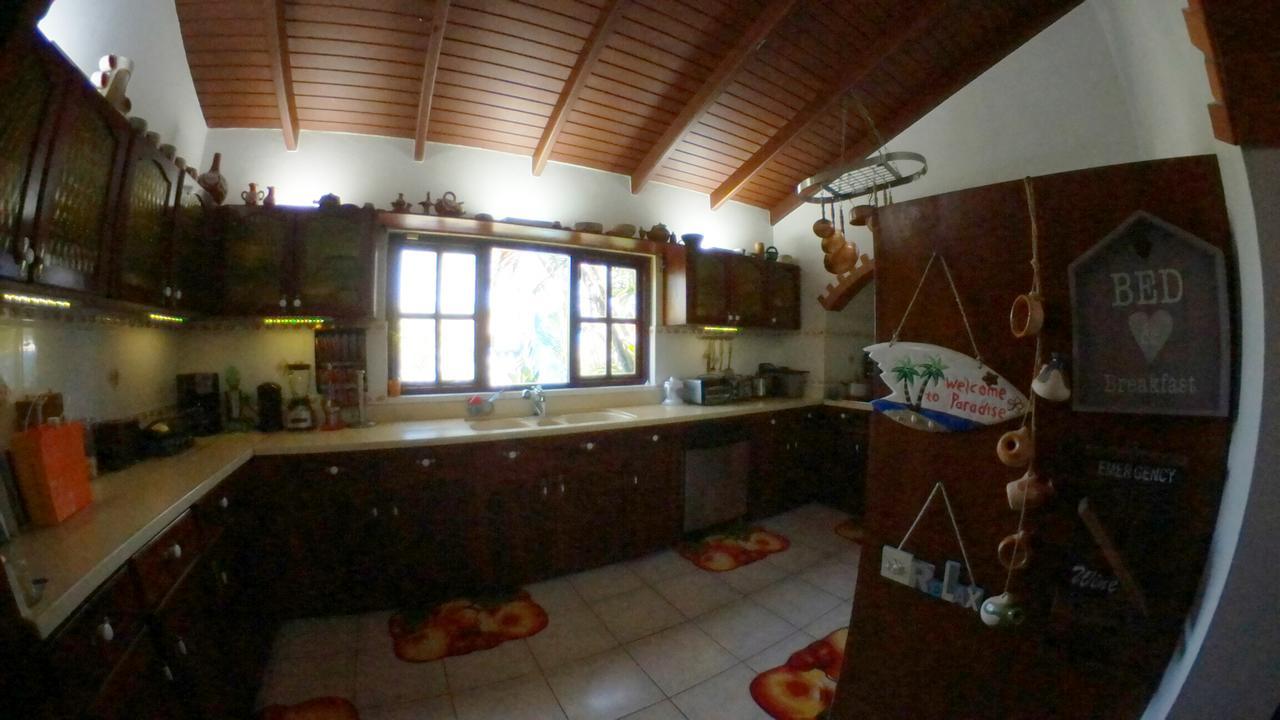 De Cuba Bed & Breakfast Noord Extérieur photo