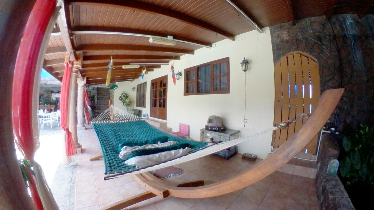 De Cuba Bed & Breakfast Noord Extérieur photo